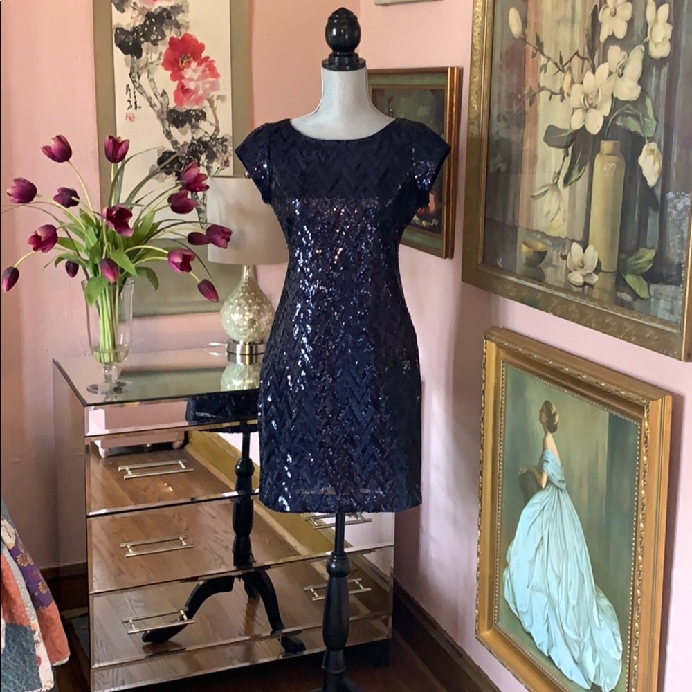 Beautiful Navy Sequined Dress